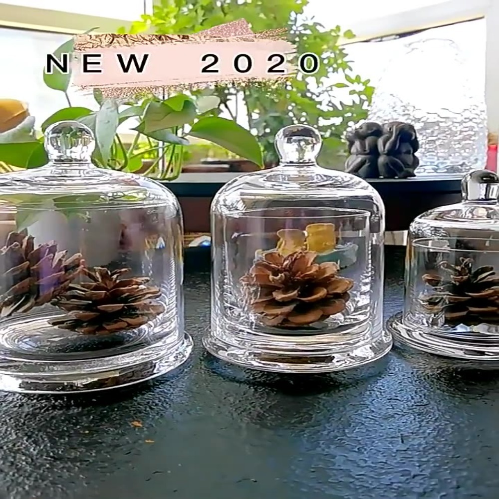 Candle Making Jars With Lids - ガラス製保存瓶 エターナルライフフラワー 8色 アロマセラピーキャンドル ガラスカバー 食品・植物ディスプレイ